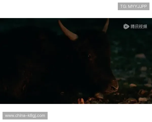 牛牛在影视作品中形象塑造及其社会影响评价