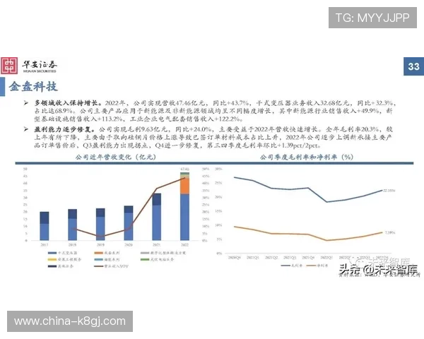 K8电游体会：分析游戏中的风险控制与收益最大化策略，提升盈利能力